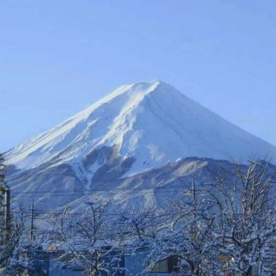 神秘探宝最新破解版下载